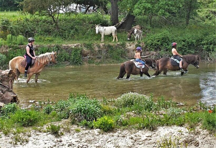 فندق Ferme Equestre Les Coccinelles