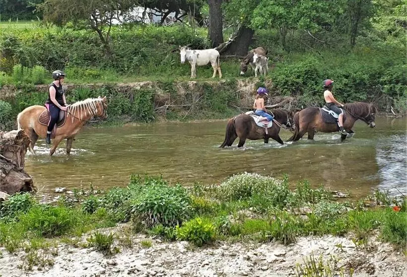 ホテル Ferme Equestre Les Coccinelles