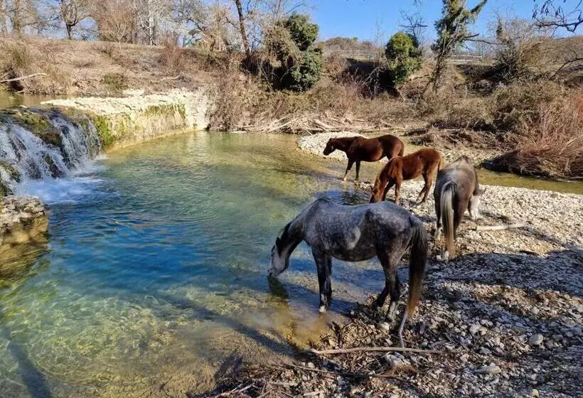 ホテル Ferme Equestre Les Coccinelles