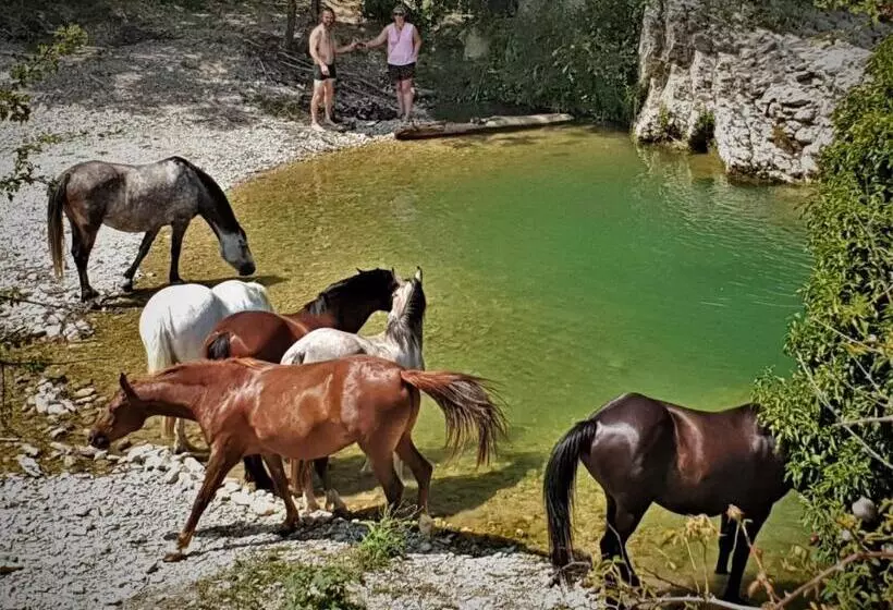 ホテル Ferme Equestre Les Coccinelles