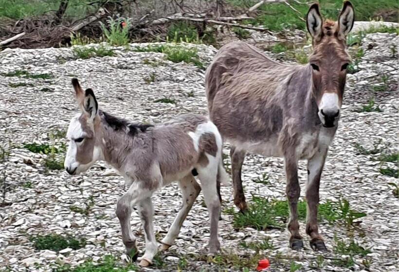 فندق Ferme Equestre Les Coccinelles