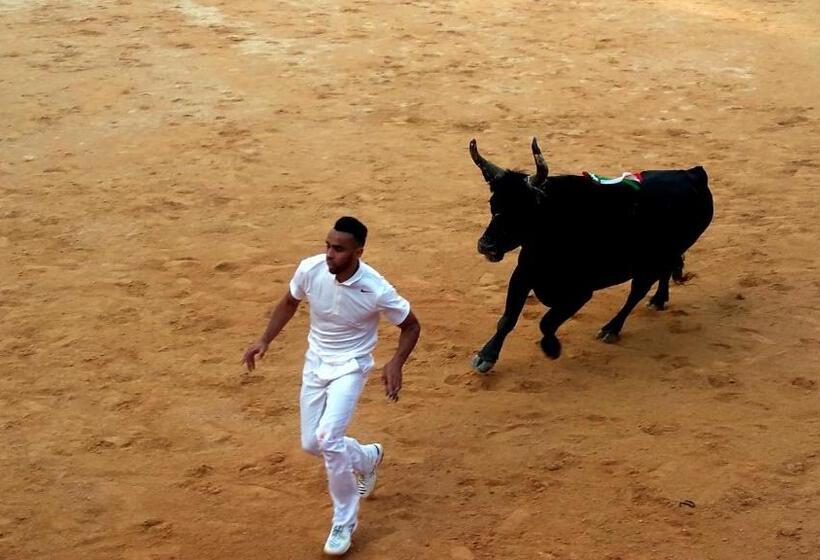 膳宿费 Le Clos Des Aramons