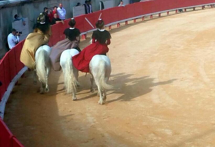 膳宿费 Le Clos Des Aramons