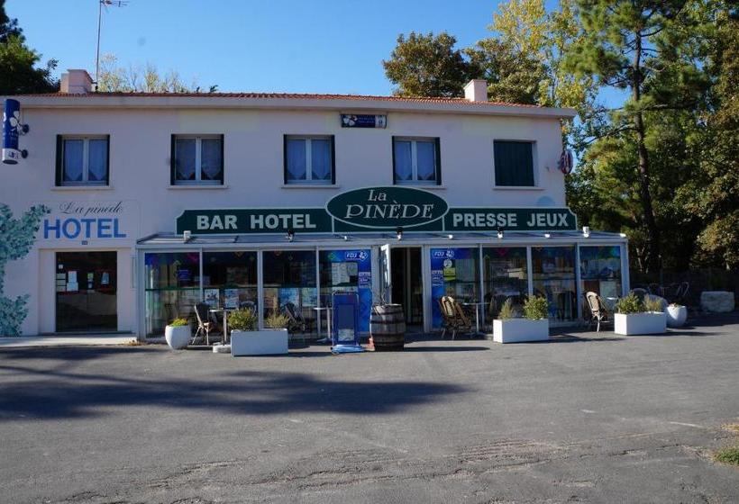 Отель Pinede
