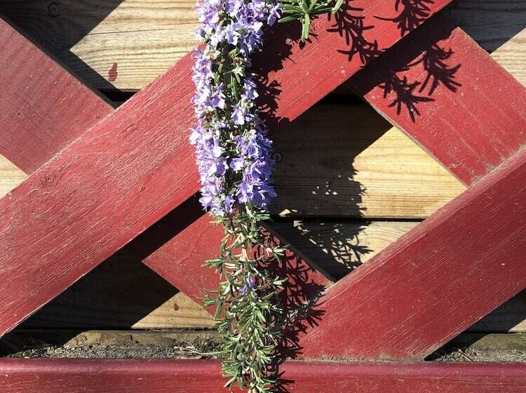 ペンション A L Aube Des Volcans