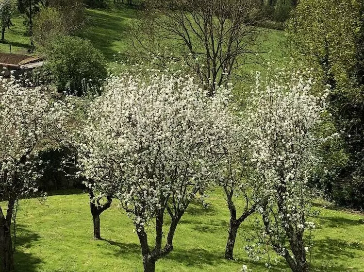 ペンション A L Aube Des Volcans