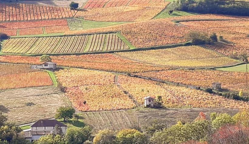 פנסיון La Ferme Berger