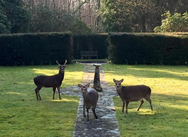 مبيت وإفطار Bressenden