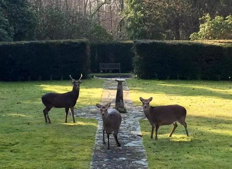 Aamiaismajoitus (B&B) Bressenden