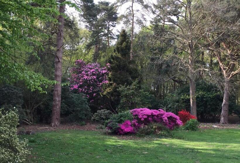 مبيت وإفطار Bressenden