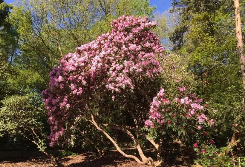 Aamiaismajoitus (B&B) Bressenden