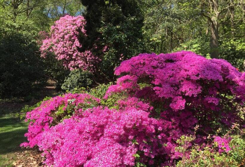 مبيت وإفطار Bressenden