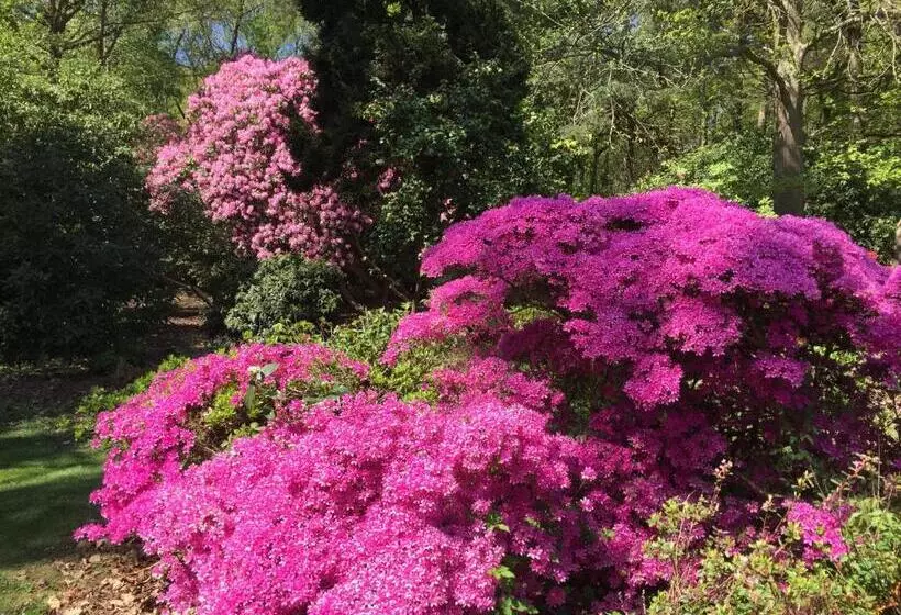 Aamiaismajoitus (B&B) Bressenden