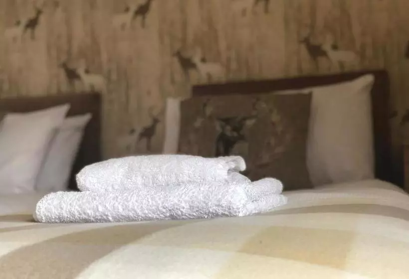 تختخواب و صبحانه Dalecote Guest House