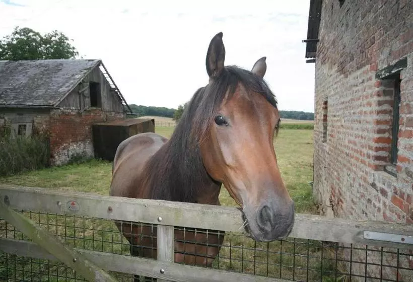 Aamiaismajoitus (B&B) Le Prieuré Chambres D Hôtes