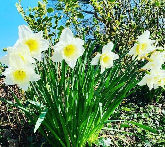 Aamiaismajoitus (B&B) Lovesgrove Country Guest House