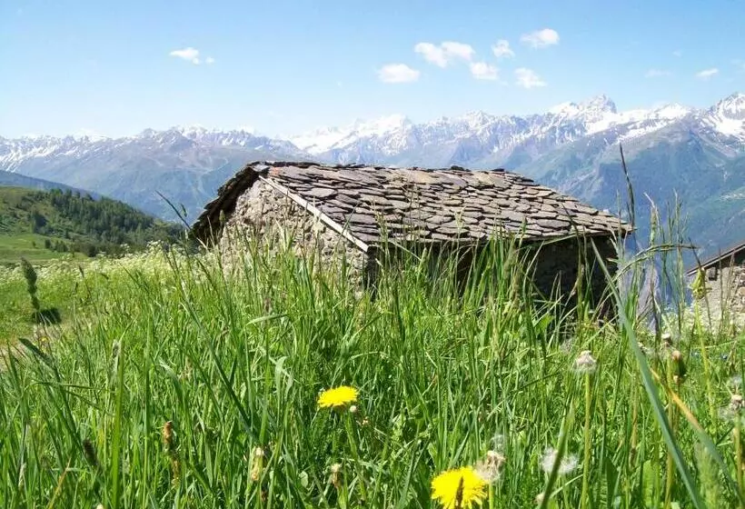 ペンション Gîte Le Shantoné