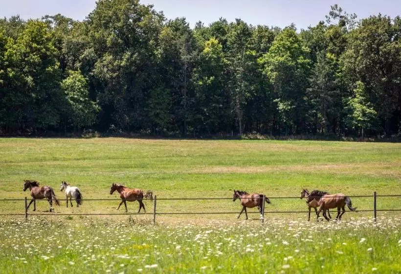 Majatalo L éco Domaine Du Chalonge