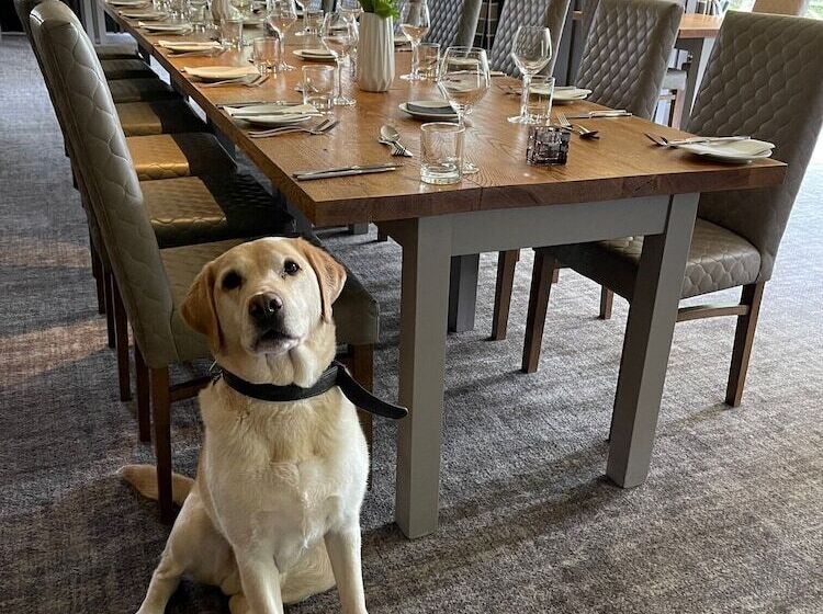 הוסטל The Inn South Stainley