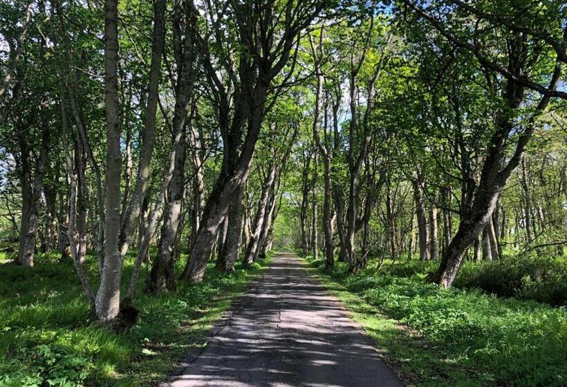 펜션 Forse Of Nature