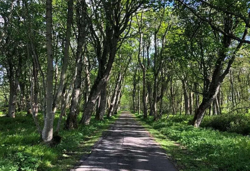 Majatalo Forse Of Nature