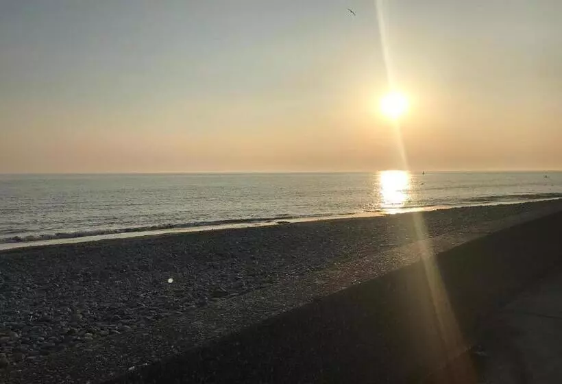 Majatalo The Sandpiper