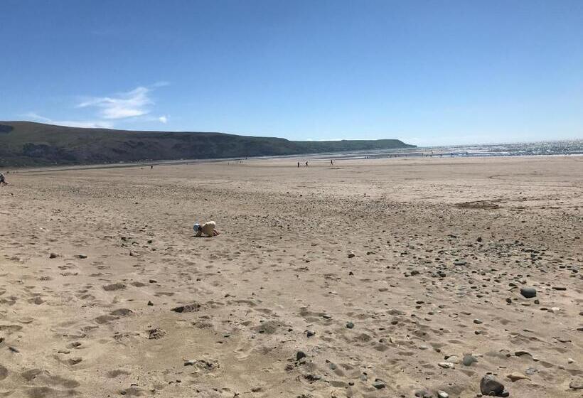 بنسيون The Sandpiper