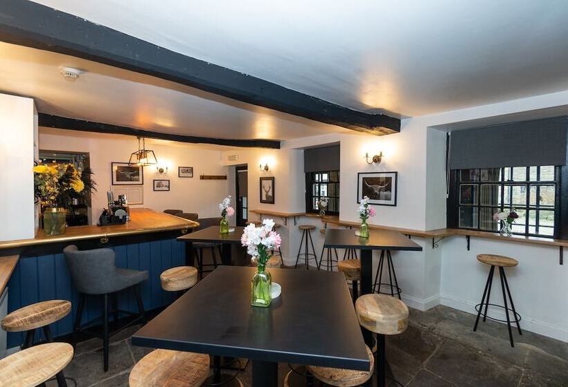 Albergue The Ancient Unicorn