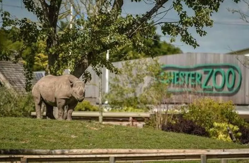 پانسیون Room@87