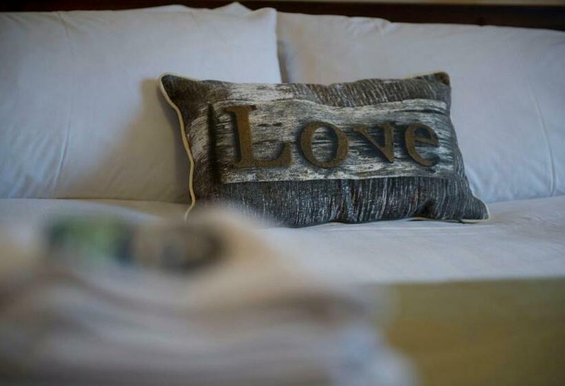 פנסיון Springfield Guesthouse