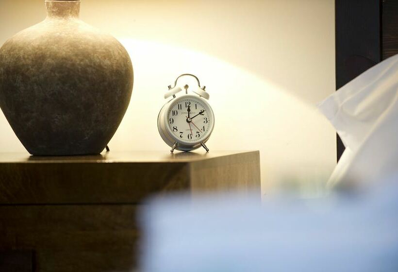 פנסיון Springfield Guesthouse