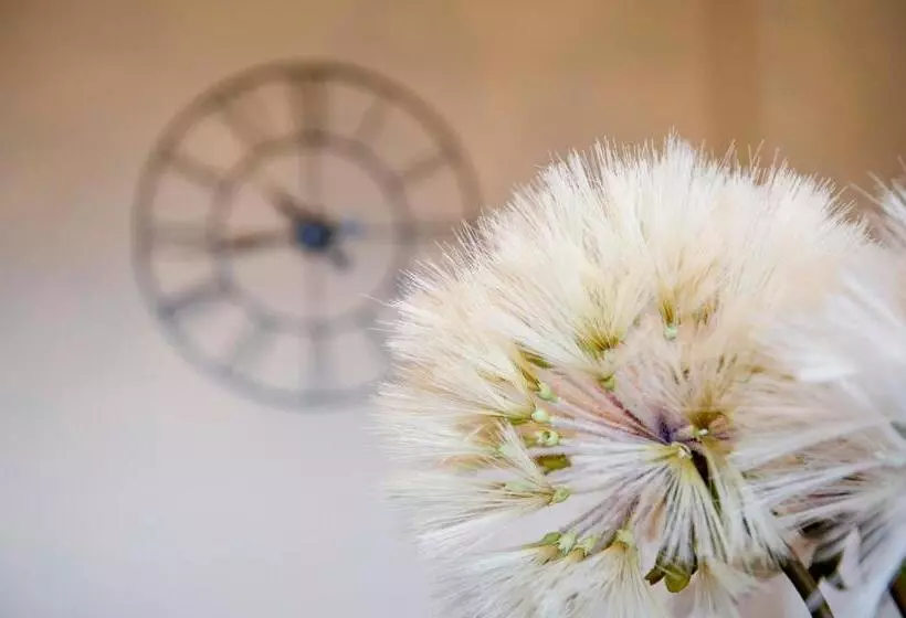 Majatalo Springfield Guesthouse