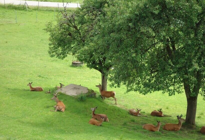 فندق صغير Landhaus Lehnerhof