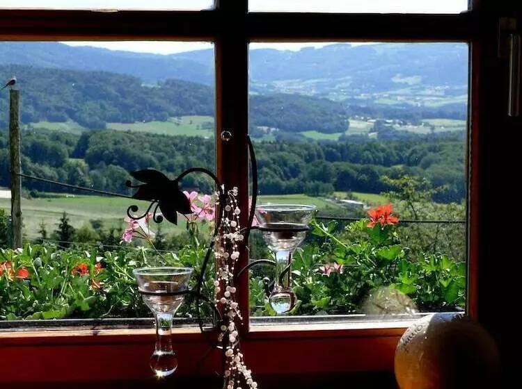 ユースホステル Landhaus Lehnerhof