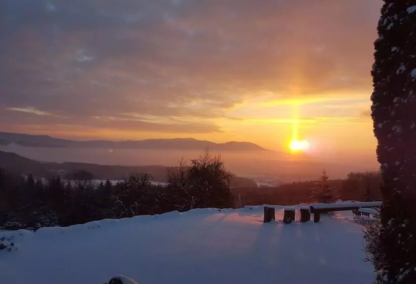 ユースホステル Landhaus Lehnerhof