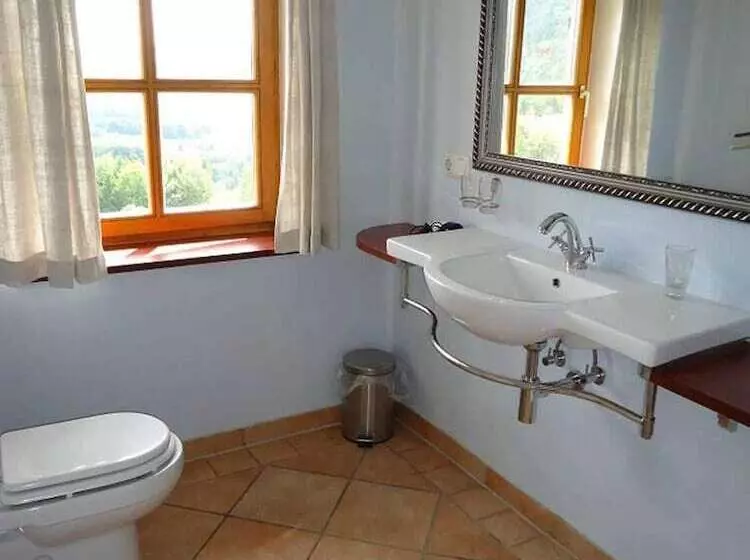 ユースホステル Landhaus Lehnerhof