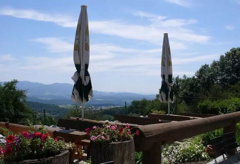 ユースホステル Landhaus Lehnerhof