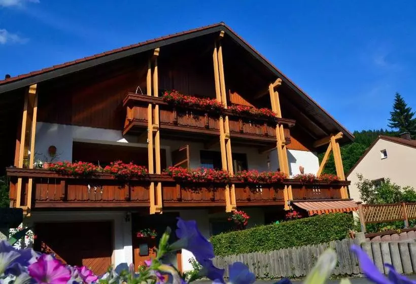 Pension Mausbachtal