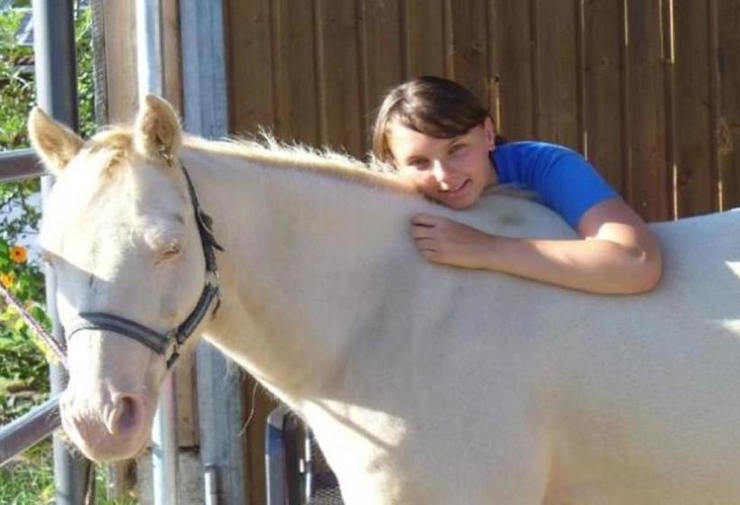 בית מלון כפרי Almerhof   Waldferienhof Almer