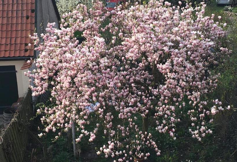 پانسیون Gast In Hedwigs Haus Auf Dem Meere