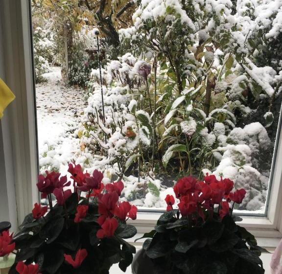 پانسیون Gast In Hedwigs Haus Auf Dem Meere