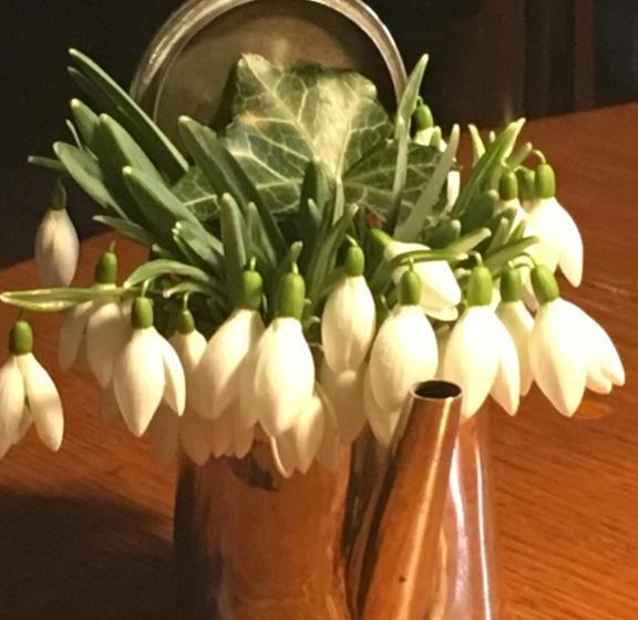 پانسیون Gast In Hedwigs Haus Auf Dem Meere