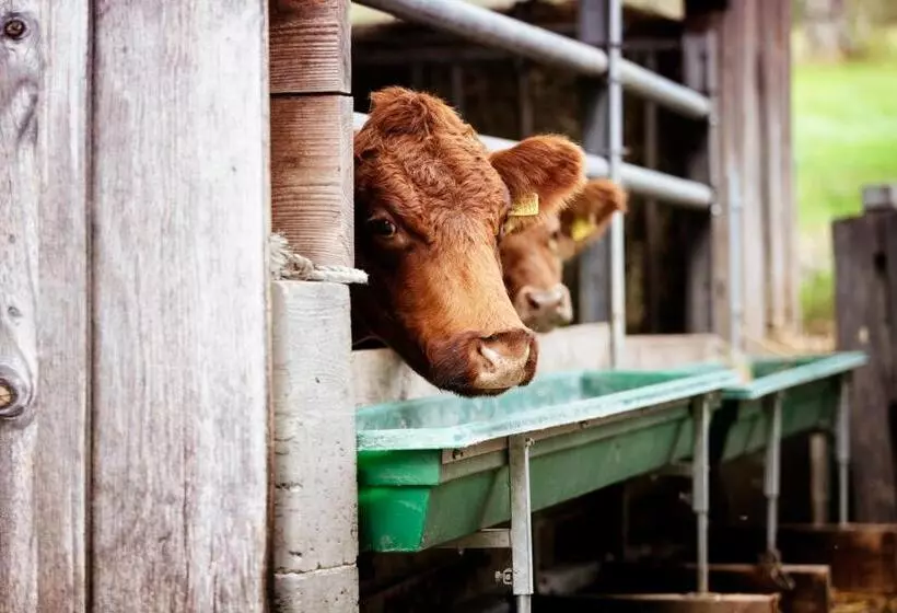 ペンション Gasthaus Post