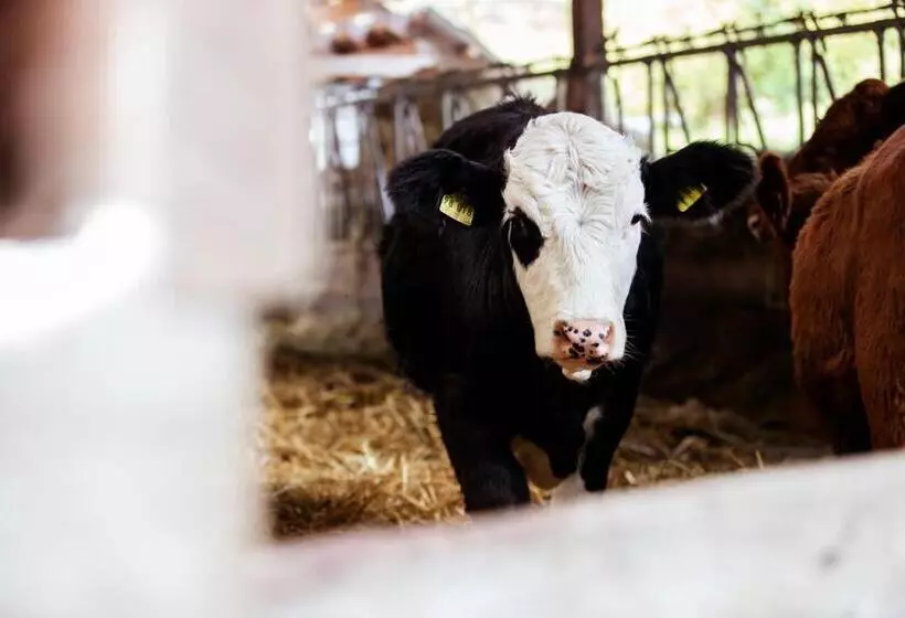 ペンション Gasthaus Post