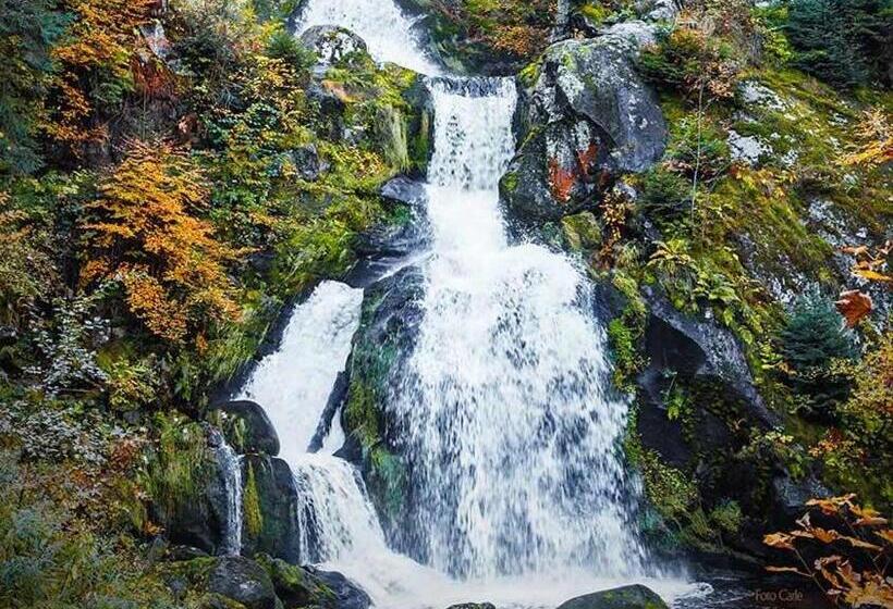 펜션 Gästehaus Ursula