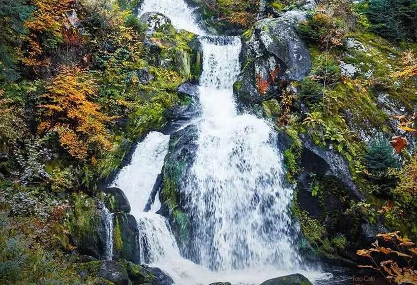 ペンション Gästehaus Ursula