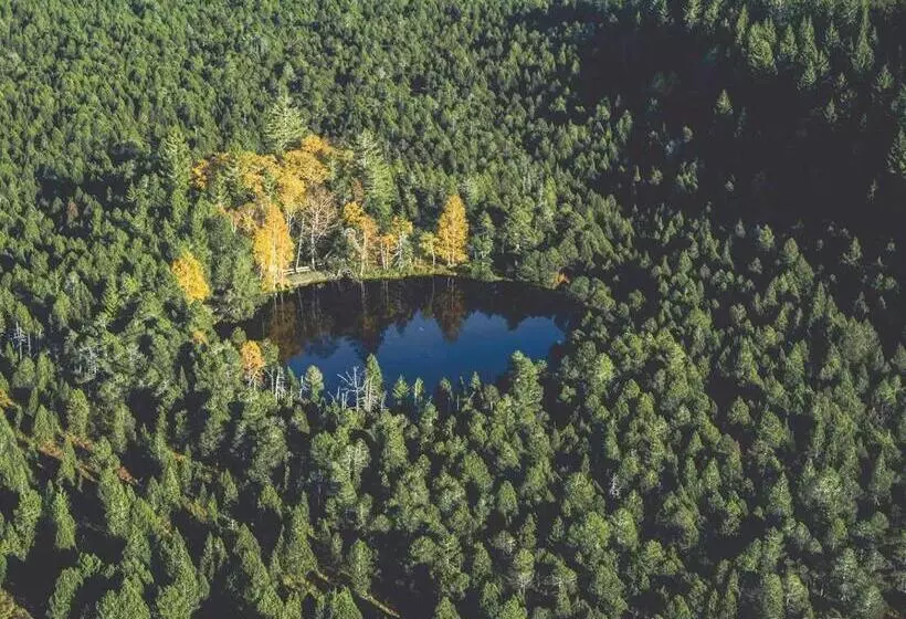 ペンション Gästehaus Ursula