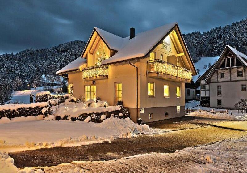 펜션 Gästehaus Ursula