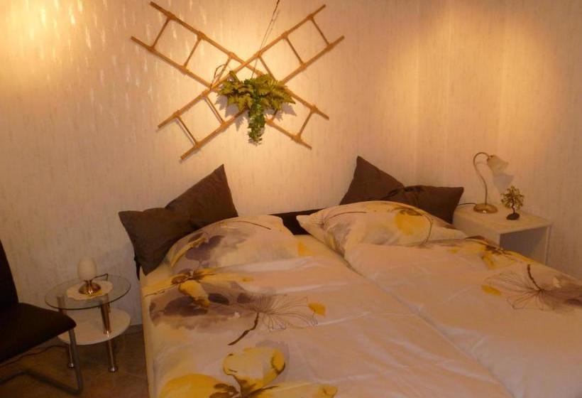 膳宿费 Guest House Schneider