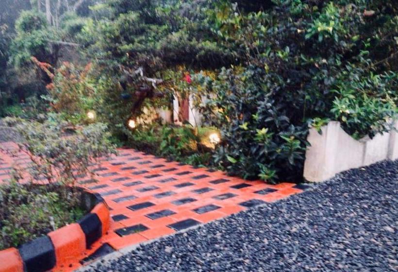 ベッドアンドブレックファースト Avalon Grove